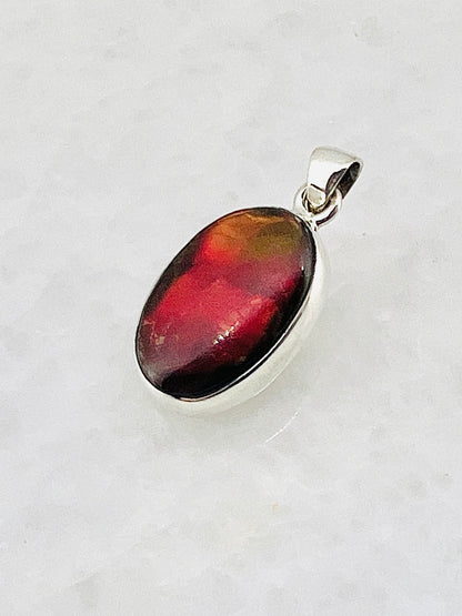 Ammolite (Fossilzed Shells) in 0.925 Silver