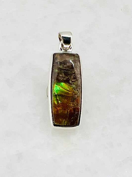Ammolite (Fossilzed Shells) in 0.925 Silver