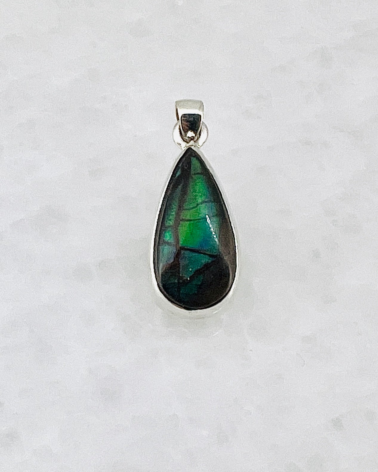 Ammolite (Fossilzed Shells) in 0.925 Silver
