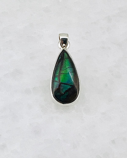 Ammolite (Fossilzed Shells) in 0.925 Silver