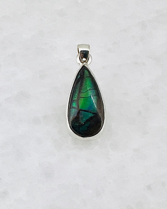 Ammolite (Fossilzed Shells) in 0.925 Silver