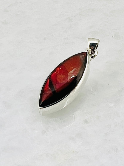 Ammolite (Fossilzed Shells) in 0.925 Silver