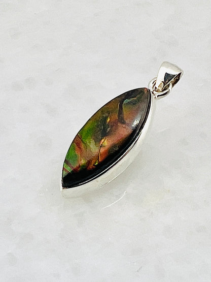 Ammolite (Fossilzed Shells) in 0.925 Silver