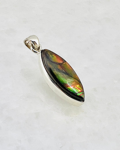Ammolite (Fossilzed Shells) in 0.925 Silver